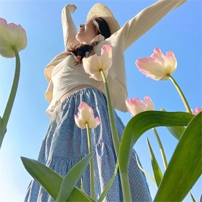 老柿子树 在线观看