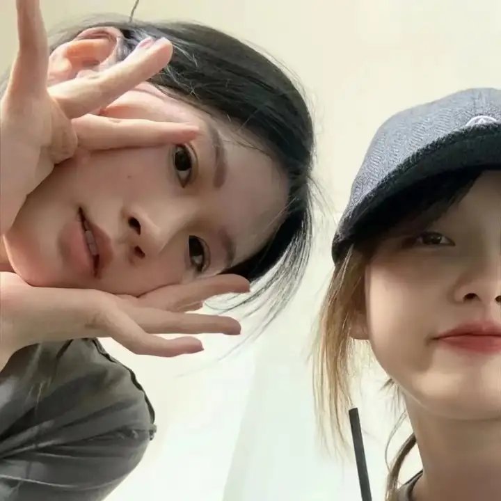 玫瑰 在线观看
